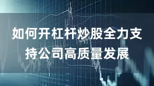 如何开杠杆炒股全力支持公司高质量发展
