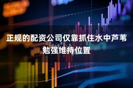 正规的配资公司仅靠抓住水中芦苇勉强维持位置