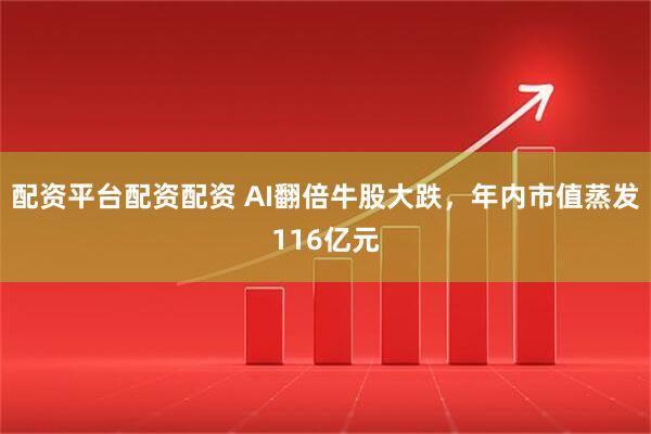 配资平台配资配资 AI翻倍牛股大跌，年内市值蒸发116亿元