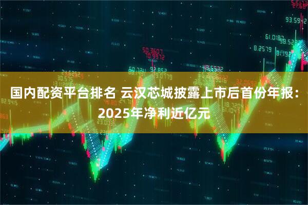 国内配资平台排名 云汉芯城披露上市后首份年报：2025年净利近亿元